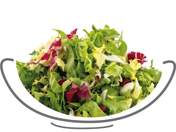 Mischsalat spezial ohne Eisberg 1kg