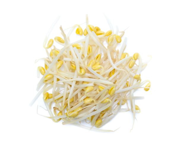 Sojasprossen 1kg